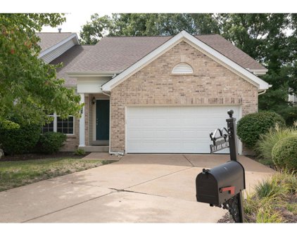 1038 Arbor Pointe  Drive, Manchester