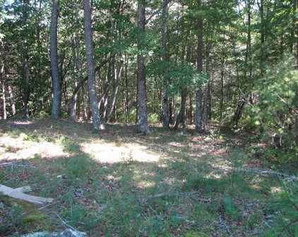 29,30 Griffith Knob, Wytheville