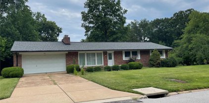 9907 Norcross  Drive, St Louis