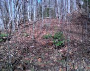 35 Fallen Oak Dr, Sylva image