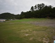 1708 2nd Avenue, Oneonta image
