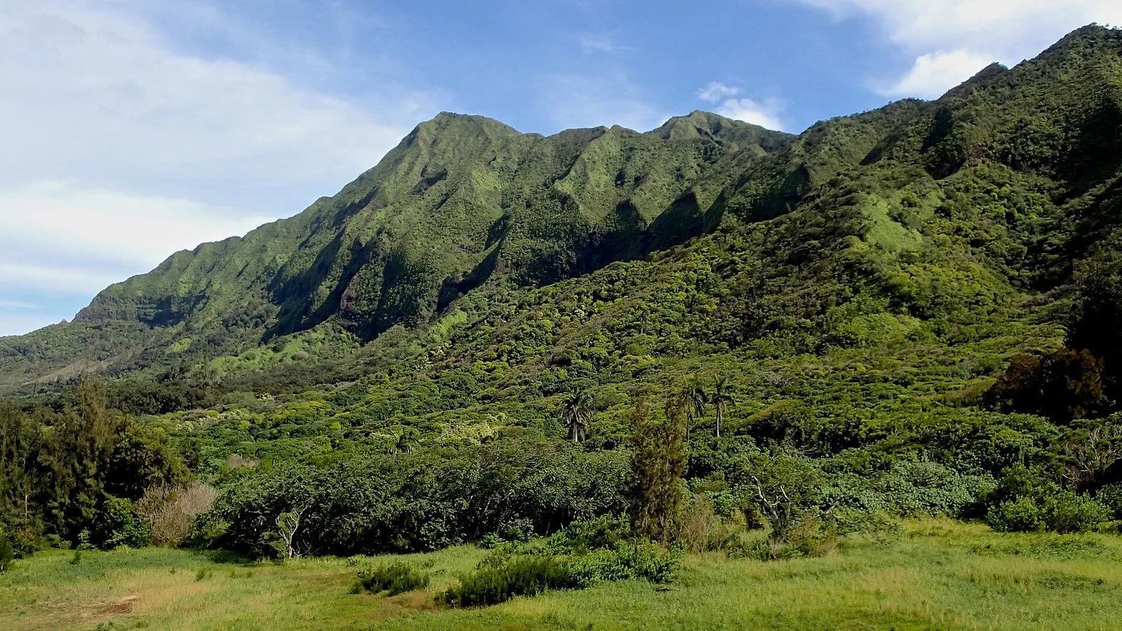 Green ridges and forest of upper Nuuanu Valley under a partly cloudy sky