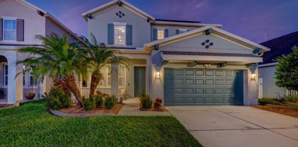 11315 Quiet Forest Drive, Tampa