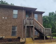 20637 Blueberry Lane Unit 30, Fairhope image