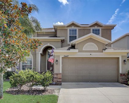 2447 Dovesong Trace, Ruskin