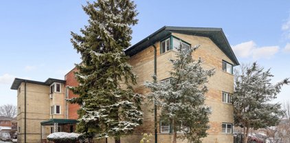 1539 Franklin Avenue Unit #1, River Forest