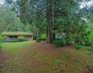 13135 24 Avenue, Surrey image
