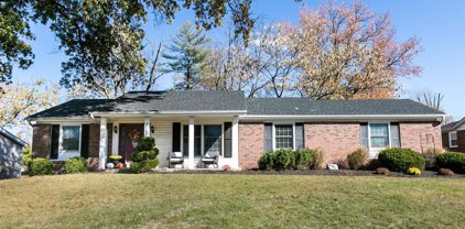 239 Cedar Trail  Drive, Ballwin