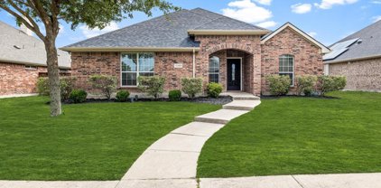 13463 Four Willows  Drive, Frisco