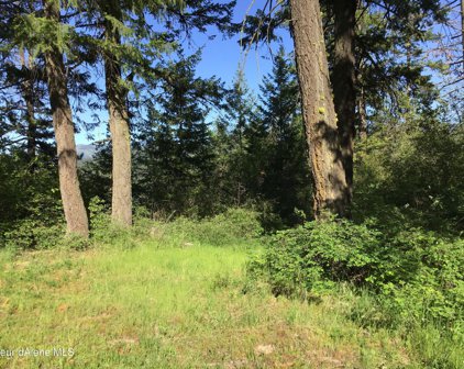 Rufus Trail, Lts 4,5,6,7, St. Maries