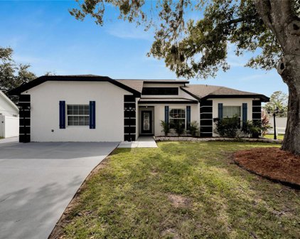 12007 Vermillion Way Way, Riverview