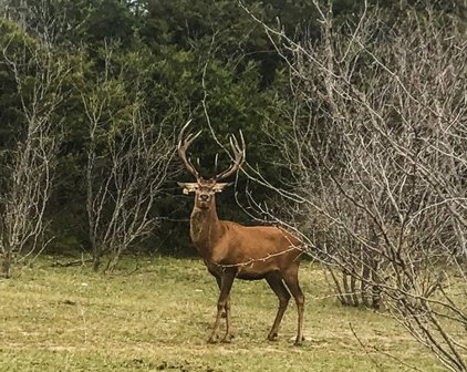 000 South Hwy 281, Lampasas