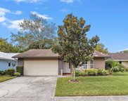 908 Evelyn Avenue, Clearwater image