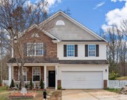 13035 Rothe House  Road, Charlotte image