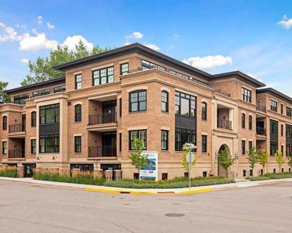 240 Minnetonka Avenue S Unit #203, Wayzata