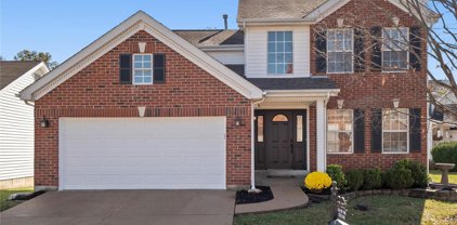 1524 Westwind Estates  Drive, Valley Park