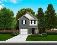 1101 Crescent Moon (Lot 318) Loop, Hopkins image