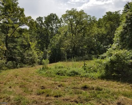 59 Millbrook Rd, Harding Twp.