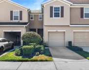 8746 Turnstone Haven Place, Tampa image