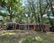 313 Sprucewood Drive, Summerville image