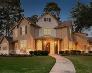 14002 Blanco Falls Lane, Cypress image
