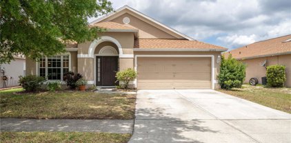 12323 Hawkeye Point Place, Riverview