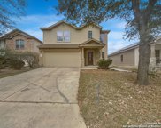 11115 Verbena Path, Helotes image