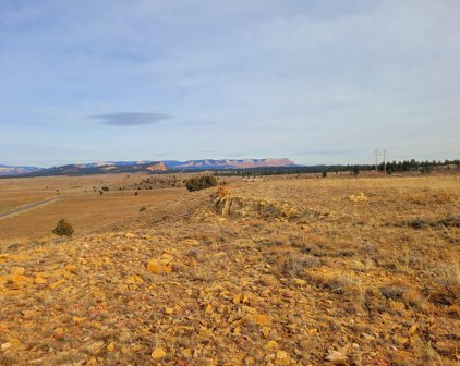 68 Acres Commercial Land - Johns Valley Rd, Bryce