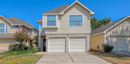 10826 Aly Trace Court, Houston