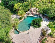 828 Hygeia Ave, Encinitas image