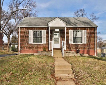 9547 Corregidor  Drive, St Louis