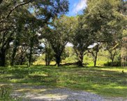 4805 W Knights Griffin Road, Plant City image