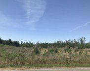 Joyner Swamp Rd., Galivants Ferry image