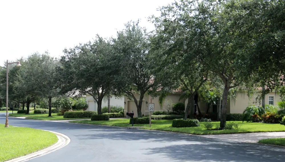Plumbago Pointe Homes 