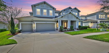 6414 Tideline Drive, Apollo Beach