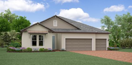32253 Cannon Rush Drive, San Antonio