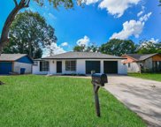 3602 Cicada Lane, Houston image
