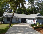 347 Hickory Hill Place, Ormond Beach image