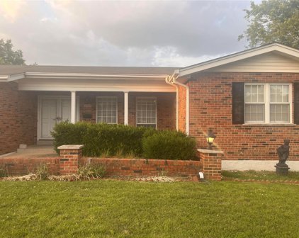4221 Leeshore  Drive, St Louis