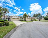 28857 Marsh Elder Court, Bonita Springs image