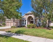 20324 Natures Corner Drive, Tampa image