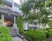 3183 Esmond Avenue Unit 208, Burnaby image
