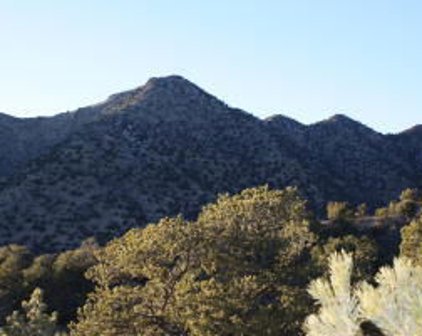 Cactus Trail Ne, Albuquerque