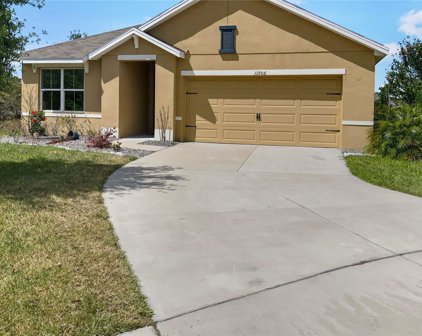 11906 Little Violet Drive, Riverview