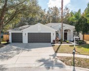 22244 Willow Lakes Drive, Lutz image