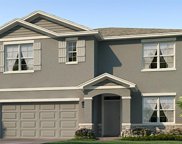 17729 Canopy Place, Bradenton image