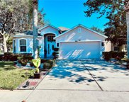 10007 Scottish Pines Court, Orlando image