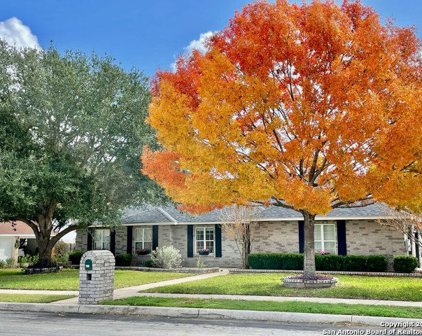133 Alexandria St, La Vernia