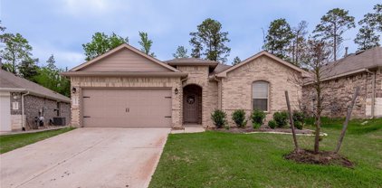 11742 Bari Reef Lane, Conroe