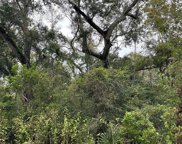 County Road 348, Brazoria image